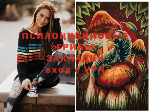 тгк Алексин