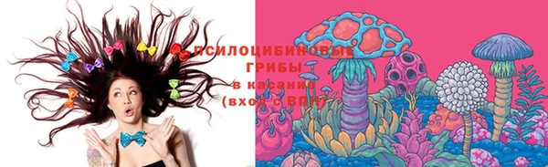 тгк Алексин
